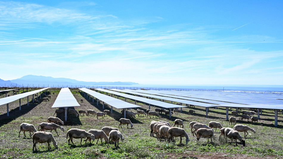 Gse, 'Agrivoltaico alleato non avversario dell'agricoltura'