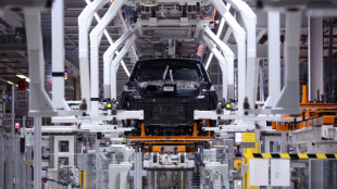 Fr&uuml;hindikator f&uuml;r Arbeitsmarkt leicht verbessert - aber weiter keine Trendwende