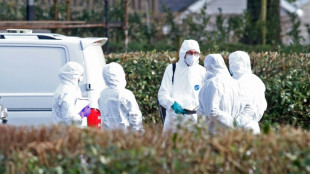 Irlande du Nord: des r&eacute;publicains dissidents soup&ccedil;onn&eacute;s d'une attaque contre un policier