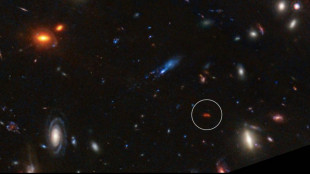 Scoperta una nuova fabbrica di stelle