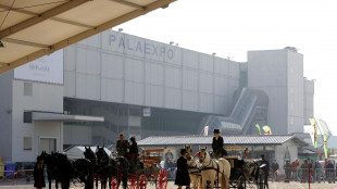 Da Fieracavalli l'impegno per il benessere animale: nasce Healthcare & Leisure