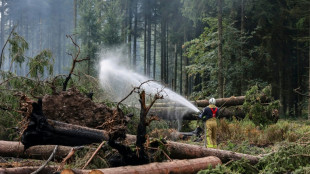 Belgique: l'incendie des Hautes Fagnes "d&eacute;sormais contr&ocirc;l&eacute;"
