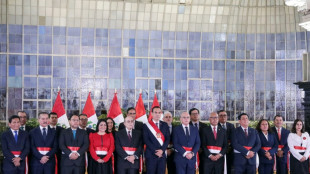 Perus &Uuml;bergangspr&auml;sident nominiert Minister - Ex-General wird Innenminister