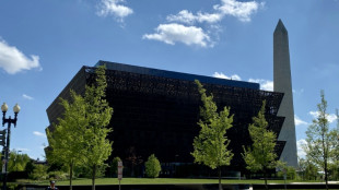 La Casa Blanca evaluar&aacute; museos en Washington para eliminar las narrativas "partidarias"