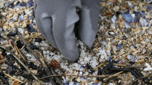 EU-Parlament stimmt über Regeln für Mikroplastik in der Industrie ab