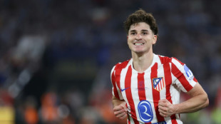Juli&aacute;n &Aacute;lvarez, en la encrucijada