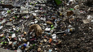 Guterres, 'serve un accordo ambizioso sulla plastica'