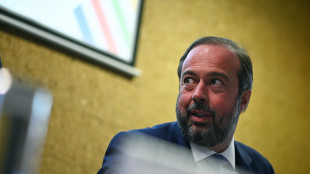 'Il Brasile, con l'88% di rinnovabili, &egrave; guida verde globale'
