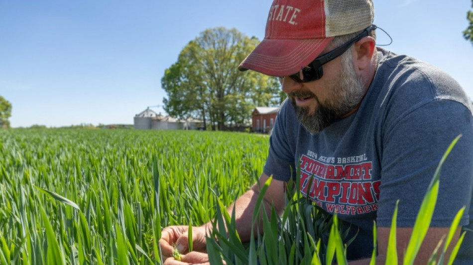 Aux Etats-Unis, des agriculteurs rattrap&eacute;s par la guerre au Moyen-Orient