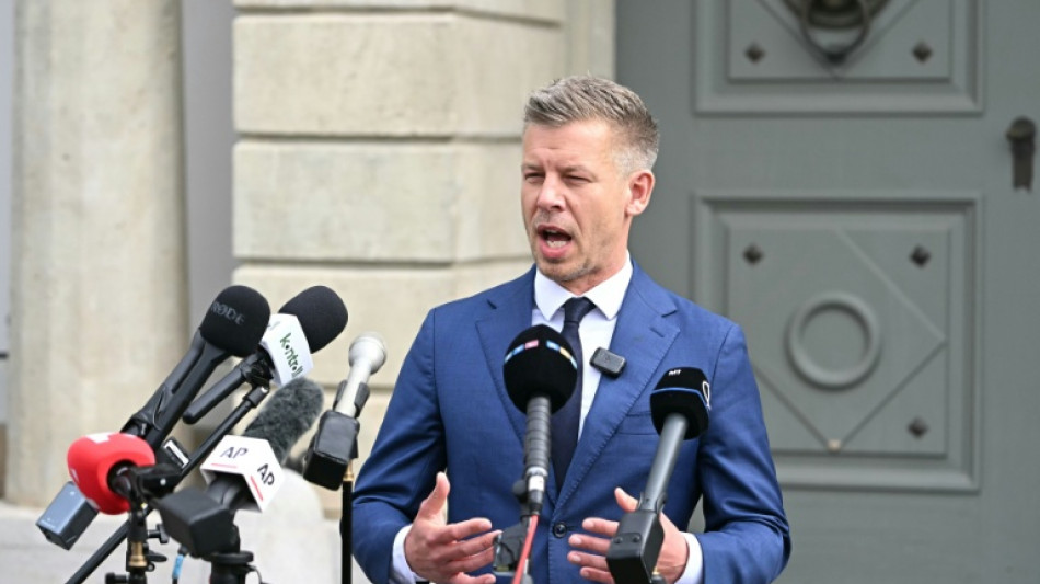 Convocation de la nouvelle assembl&eacute;e hongroise d&eacute;but mai, annonce Magyar 