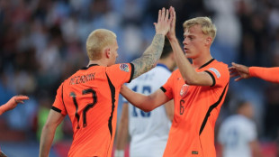 Xavi gets first win as Netherlands boss, Denmark beat Wales
