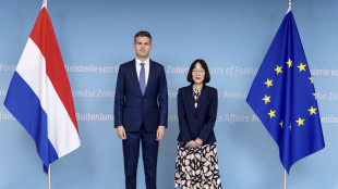 Media, Giappone inerte contro le sanzioni Usa alla Cpi, "un fallimento diplomatico"