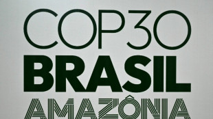 Merz hält Rede bei internationalem Klimagipfel im brasilianischen Belém
