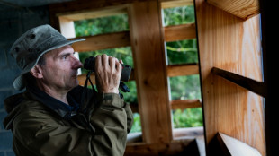 Dans les marais d'Harchies, conflit de voisinage franco-belge autour de la chasse au gibier d'eau