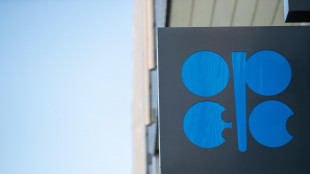 Opec+ valuta nuovo aumento produzione, petrolio perde oltre 1%