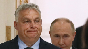 Ue, 'nessuno ha chiesto a Orban di mediare, n&eacute; Mosca n&eacute; Kiev'