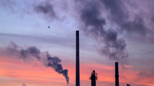 Forscher heben Prognose an: IMK rechnet 2025 mit 0,2 Prozent Wirtschaftswachstum