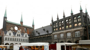 Cinco detenidos en Alemania por exportaci&oacute;n ilegal a empresas de armamento rusas