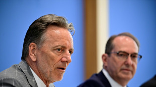 Los delitos por motivos pol&iacute;ticos alcanzan un m&aacute;ximo hist&oacute;rico en Alemania