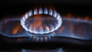 Il prezzo del gas apre in calo a 68,70 euro al megawattora