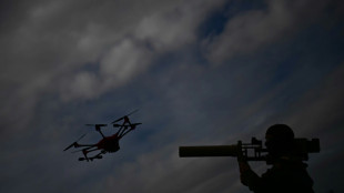 Drohne &uuml;ber Litauen von Nato-Kampfjets abgeschossen - Pr&auml;sident lobt "Einsatzbereitschaft"