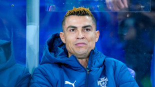 Portugal boss denies 'incident' with Ronaldo