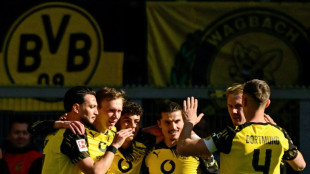 Dortmund down Freiburg to seal Champions League spot