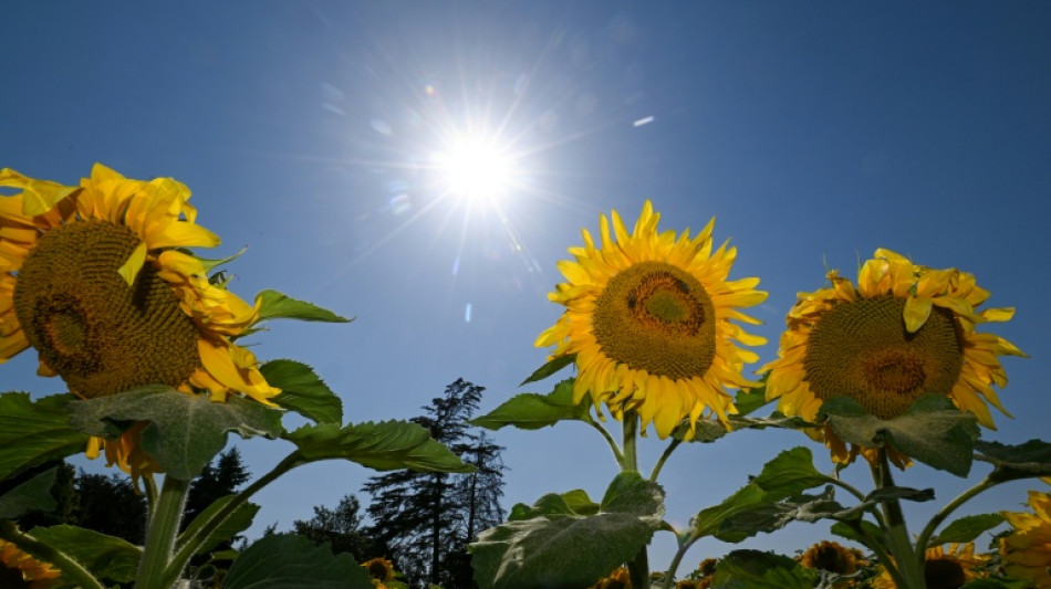Hitze hat Deutschland weiter im Griff - zum Wochenende Abk&uuml;hlung in Sicht