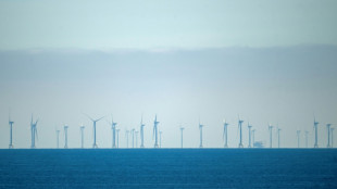 Neptun-Werft in Rostock profitiert von weiterem Gro&szlig;auftrag f&uuml;r Offshore-Konverter