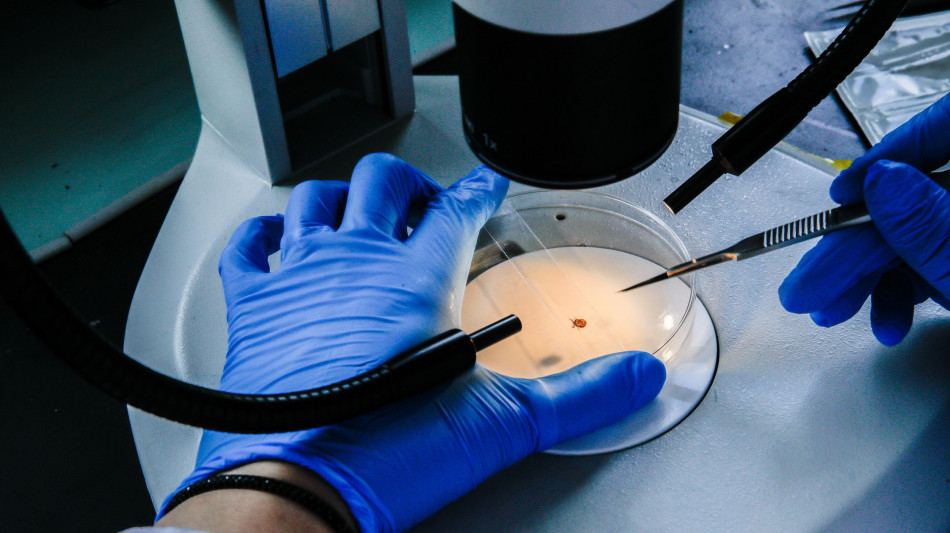 I microbi di citt&agrave; stanno diventando resistenti ai disinfettanti