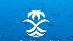 Fincantieri, accordo con la Saudi Red Sea Authority