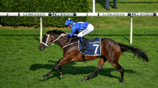 Unbeaten legend Winx's $7 million foal retires without racing 
