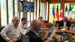 Selenskyj fordert von G7 Kraftanstrengung f&uuml;r Kriegsende noch in diesem Jahr