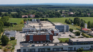 Il gas torna ai livelli dello scorso 14/9 sopra quota 82 euro