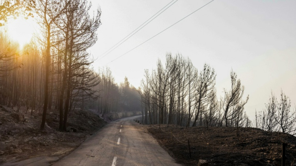 Evac&uacute;an una localidad tur&iacute;stica en Croacia por un violento incendio forestal