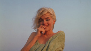 Sar&agrave; dedicato a Marilyn Monroe il Torino Film Festival 2026