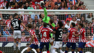 El Atl&eacute;tico de Madrid oficializa el traspaso de Grbic al Sheffield ingl&eacute;s