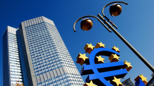 Bce, governo riconsideri la proposta sull'oro di Bankitalia