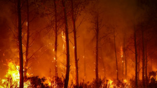 Southern Europe 'becoming more flammable' in hotter climate, experts say