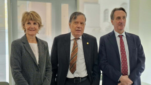 Parisi, 'riportare nel pubblico ricerca e investimenti sull'IA '