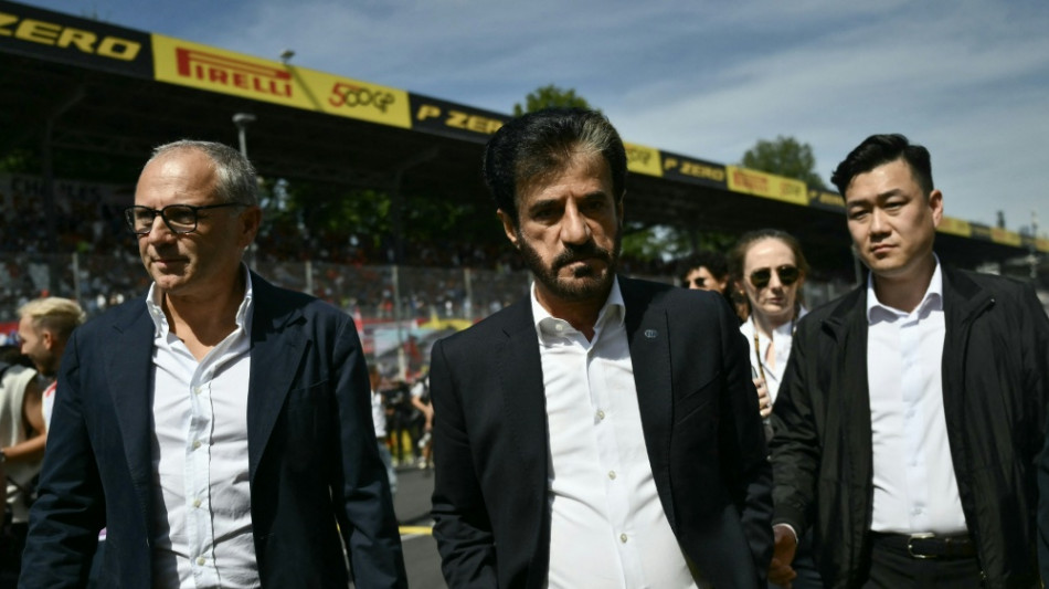 Ben Sulayem als FIA-Pr&auml;sident wiedergew&auml;hlt