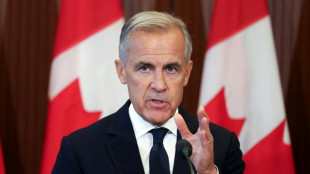 Droits de douane: le Canada riposte, les Etats-Unis menacent de surench&eacute;rir