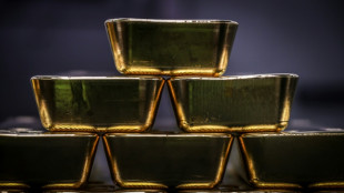 Gold hits records as US policy rattles investors
