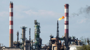 D&eacute;carbonation de Fos: impatience des industriels face au risque d'enlisement