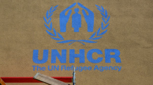L'ONU met l'UE en garde contre une aide internationale rabot&eacute;e dans son prochain budget
