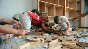 Dutch inventor of hit game 'Kapla' dead at 80: family 