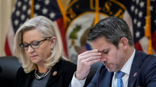 Republikanerf&uuml;hrer im US-Senat kritisiert Parteistrafe gegen Trump-Kritiker