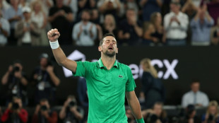 History beckons for Djokovic and Alcaraz in Australian Open final 