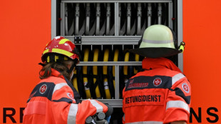 Mehr als 900 Schweine bei Stallbrand in Niederbayern get&ouml;tet