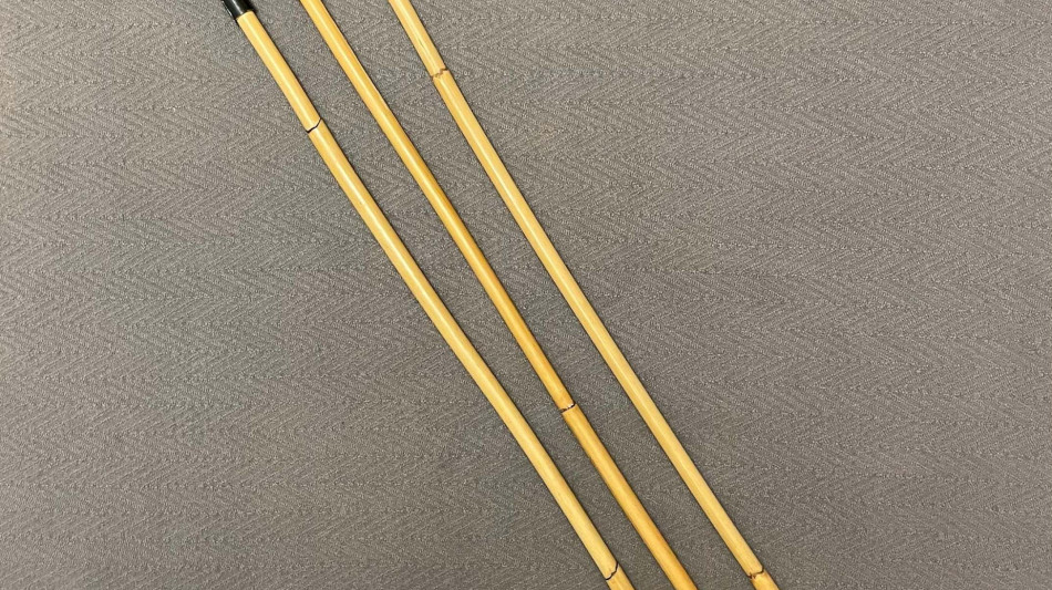 Singapore, sanzioni e frustate contro la cattiva condotta a scuola entro il 2027